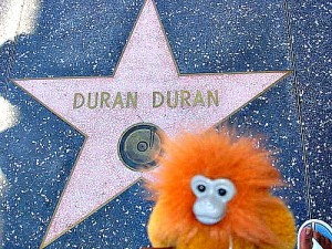 Duran Duran Star - 2938323594_dabb0ee6fd