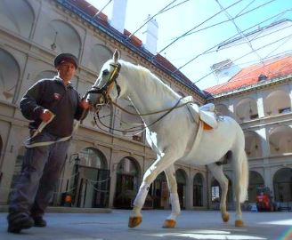 Lippanzzer Horses - Spanish Riding School