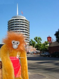 Minkey at Capitol Records